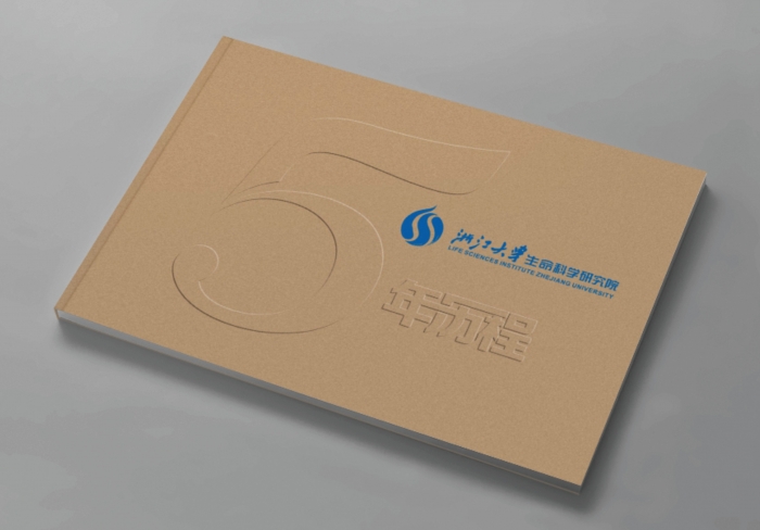 網絡大眾化在企業(yè)宣傳中的應用